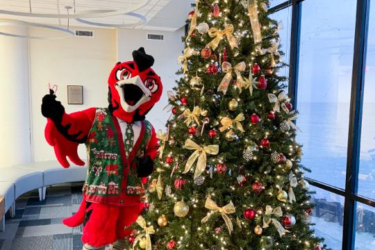Carthage mascot, Ember, adding ornaments to a Christmas tree.